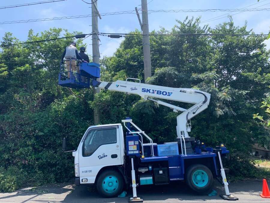 高所作業車での伐採